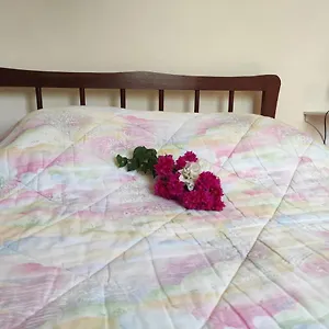  Appartement La Colliniere